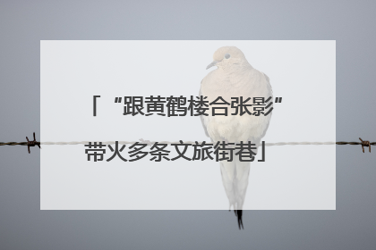 “跟黄鹤楼合张影”带火多条文旅街巷