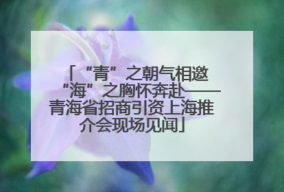 “青”之朝气相邀 “海”之胸怀奔赴——青海省招商引资上海推介会现场见闻