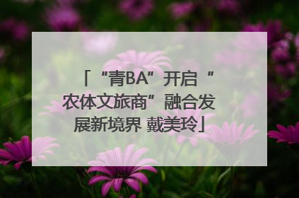 “青BA”开启“农体文旅商”融合发展新境界 戴美玲