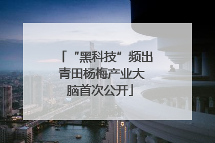 “黑科技”频出 青田杨梅产业大脑首次公开