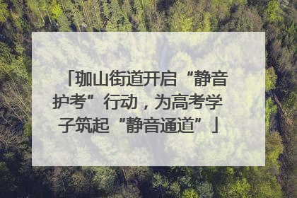 珈山街道开启“静音护考”行动，为高考学子筑起“静音通道”
