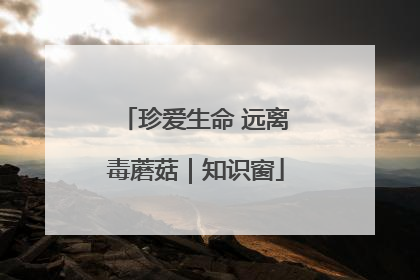 珍爱生命 远离毒蘑菇｜知识窗