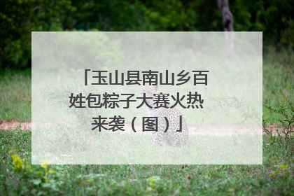 玉山县南山乡百姓包粽子大赛火热来袭（图）