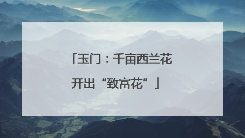 玉门：千亩西兰花开出“致富花”