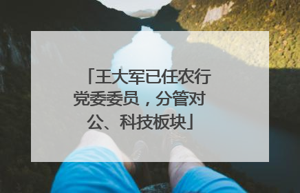 王大军已任农行党委委员，分管对公、科技板块