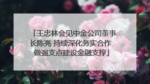 王忠林会见中金公司董事长陈亮 持续深化务实合作 做强支点建设金融支撑