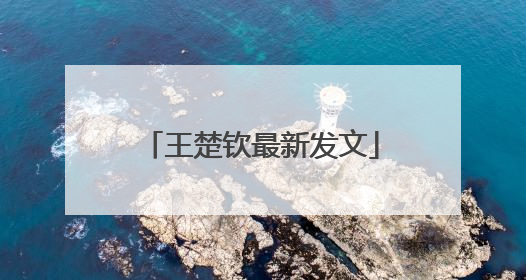 王楚钦最新发文