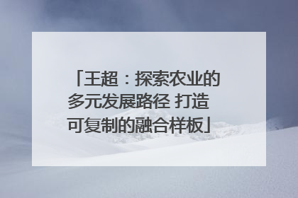 王超：探索农业的多元发展路径 打造可复制的融合样板