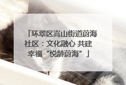 环翠区嵩山街道蔚海社区：文化融心 共建幸福“悦龄蔚海”