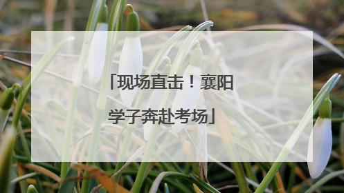 现场直击！襄阳学子奔赴考场