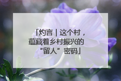 灼言｜这个村，蕴藏着乡村振兴的“留人”密码