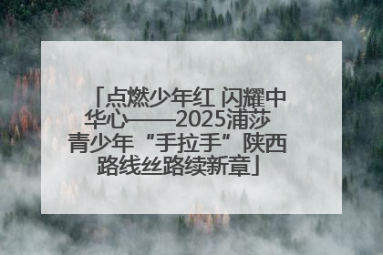点燃少年红 闪耀中华心——2025浦莎青少年“手拉手”陕西路线丝路续新章
