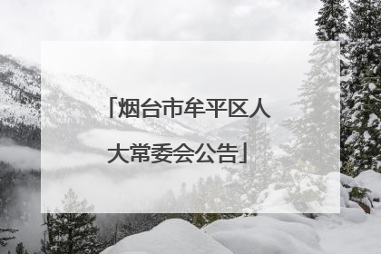 烟台市牟平区人大常委会公告