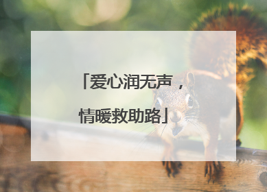 爱心润无声，情暖救助路