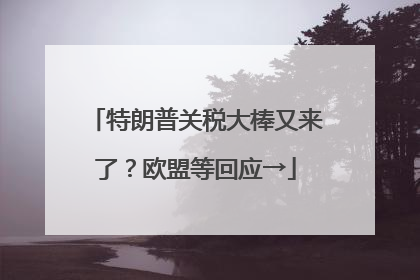 特朗普关税大棒又来了？欧盟等回应→