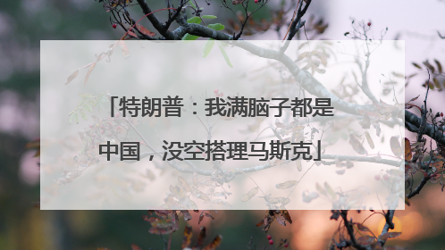 特朗普：我满脑子都是中国，没空搭理马斯克