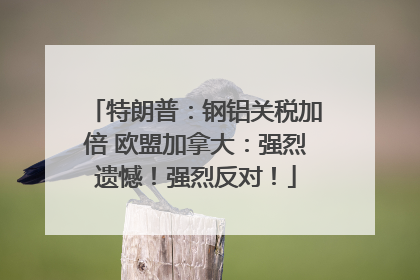 特朗普：钢铝关税加倍 欧盟加拿大：强烈遗憾！强烈反对！