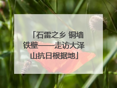 石雷之乡 铜墙铁壁——走访大泽山抗日根据地
