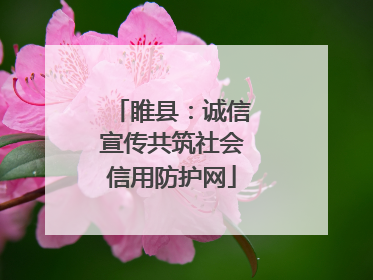 睢县：诚信宣传共筑社会信用防护网