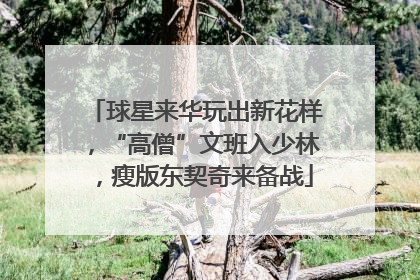 球星来华玩出新花样，“高僧”文班入少林，瘦版东契奇来备战