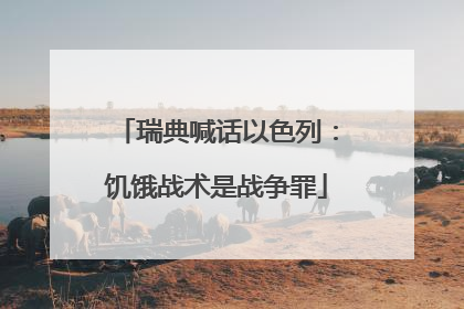 瑞典喊话以色列：饥饿战术是战争罪