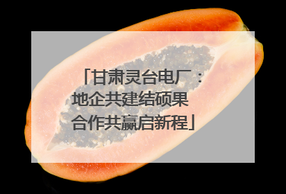 甘肃灵台电厂：地企共建结硕果 合作共赢启新程