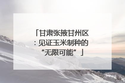 甘肃张掖甘州区：见证玉米制种的“无限可能”