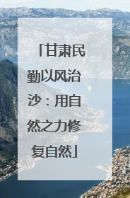 甘肃民勤以风治沙：用自然之力修复自然