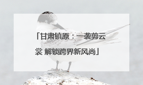 甘肃镇原：一袭剪云裳 解锁跨界新风尚