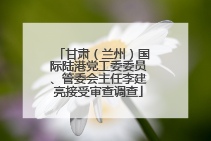甘肃（兰州）国际陆港党工委委员、管委会主任李建亮接受审查调查