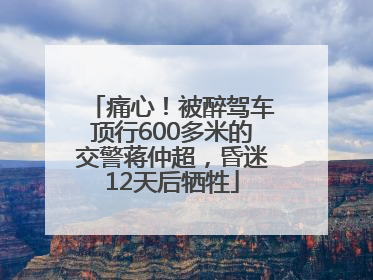 痛心！被醉驾车顶行600多米的交警蒋仲超，昏迷12天后牺牲