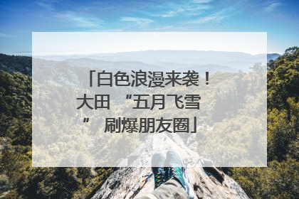 白色浪漫来袭！大田 “五月飞雪” 刷爆朋友圈
