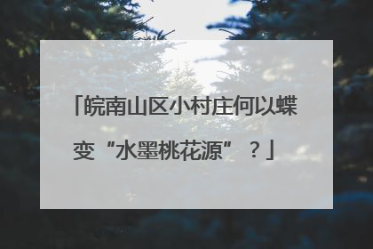 皖南山区小村庄何以蝶变“水墨桃花源”？