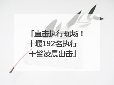 直击执行现场！十堰192名执行干警凌晨出击