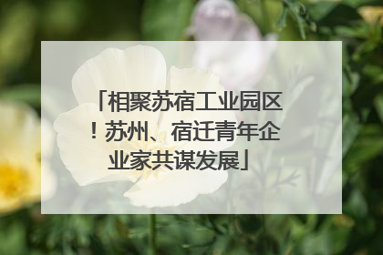 相聚苏宿工业园区！苏州、宿迁青年企业家共谋发展
