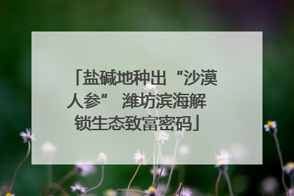 盐碱地种出“沙漠人参” 潍坊滨海解锁生态致富密码