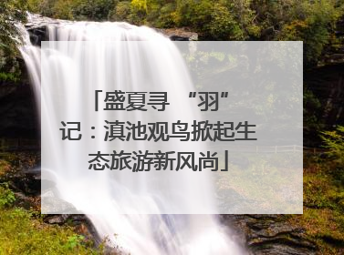 盛夏寻 “羽” 记：滇池观鸟掀起生态旅游新风尚