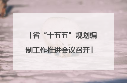 省“十五五”规划编制工作推进会议召开