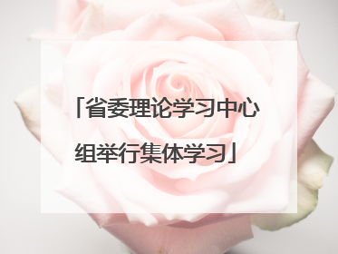 省委理论学习中心组举行集体学习