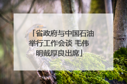 省政府与中国石油举行工作会谈 毛伟明戴厚良出席