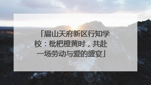 眉山天府新区行知学校：枇杷橙黄时，共赴一场劳动与爱的盛宴