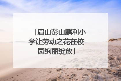 眉山彭山鹏利小学让劳动之花在校园绚丽绽放