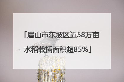 眉山市东坡区近58万亩水稻栽插面积超85%