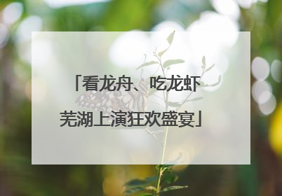 看龙舟、吃龙虾 芜湖上演狂欢盛宴
