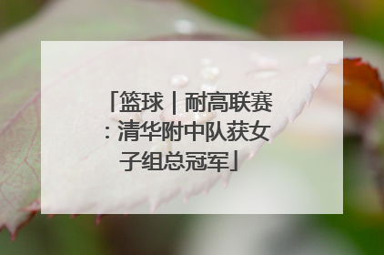 篮球｜耐高联赛：清华附中队获女子组总冠军