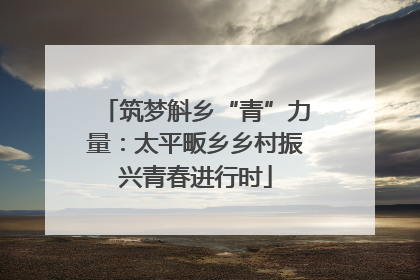 筑梦斛乡“青”力量：太平畈乡乡村振兴青春进行时