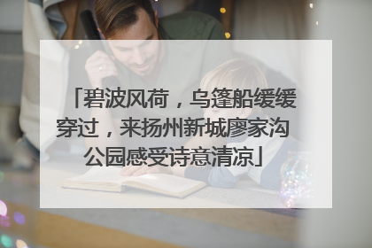 碧波风荷，乌篷船缓缓穿过，来扬州新城廖家沟公园感受诗意清凉