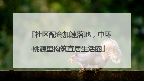 社区配套加速落地，中环·桃源里构筑宜居生活圈