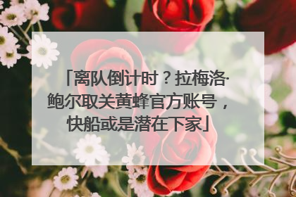 离队倒计时？拉梅洛·鲍尔取关黄蜂官方账号，快船或是潜在下家