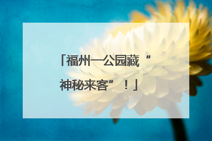 福州一公园藏“神秘来客”！